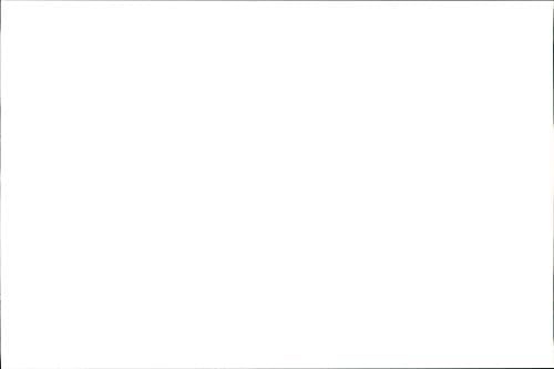 תצלום וינטג 'של השחקן צ' אק נוריס ואשתו ג ' נה בירח דבש בטהיטי