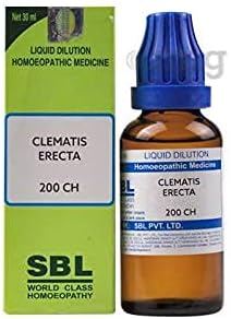 SBL Clematis erecta דילול 200 Ch