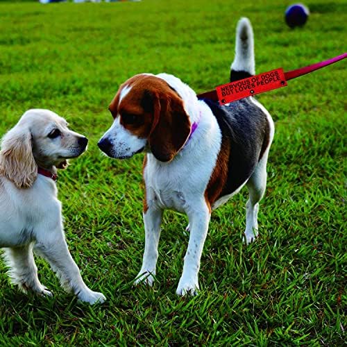 שרוול רצועה כלב מצחיק עצבני מכלבים אבל אוהב אנשים רצועת כלב עטוף שרוול מחמד מתנה ליום הולדת
