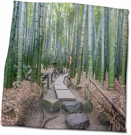 3D רוז יפן קנאגאווה קמאקורה גן המקדש הוקוקוג'י. TWL_208316_1 מגבת, 15 x 22