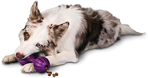 פטס בטוח עסוק באדי לכשכש לטפל-מחלק צעצוע-גור בקיעת שיניים אספקה-פאזל צעצוע עבור מזון-מוטיבציה כלבים-מקל על חרדה