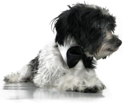 חיות מחמד פלטינה עניבת פרפר צווארון כלב רשמי, לבן ושחור