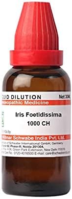 דר וילמר שוואבה הודו איריס foetidissima דילול 1000 CH בקבוק 30 מל דילול